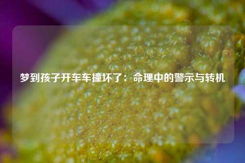 梦到孩子开车车撞坏了：命理中的警示与转机