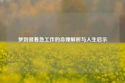 梦到很着急工作的命理解析与人生启示