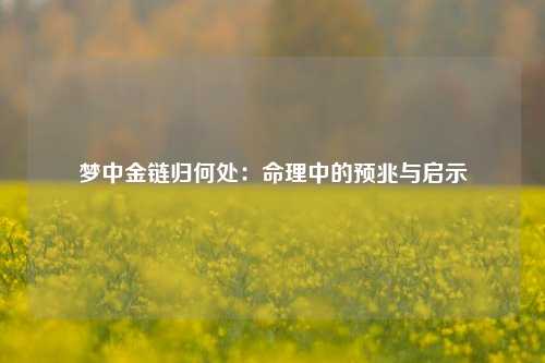 梦中金链归何处：命理中的预兆与启示
