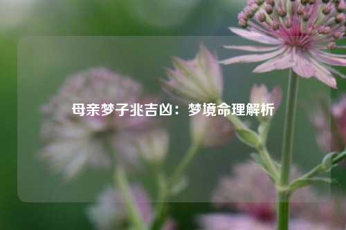 母亲梦子兆吉凶：梦境命理解析