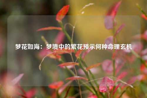 梦花如海:梦境中的繁花预示何种命理玄机