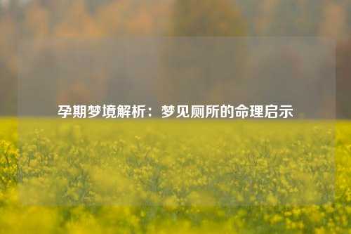 孕期梦境解析：梦见厕所的命理启示