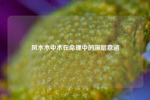风水木中木在命理中的深层意涵