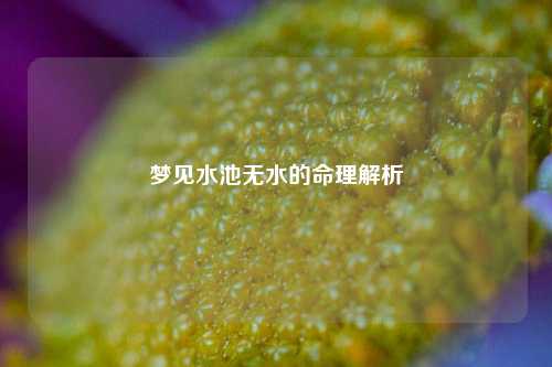 梦见水池无水的命理解析