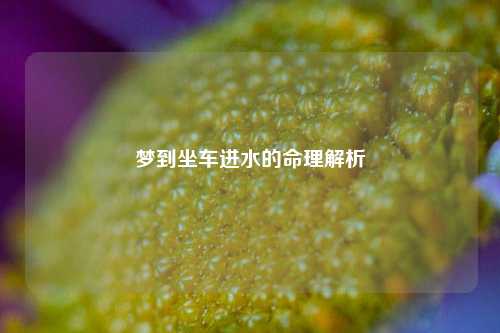 梦到坐车进水的命理解析